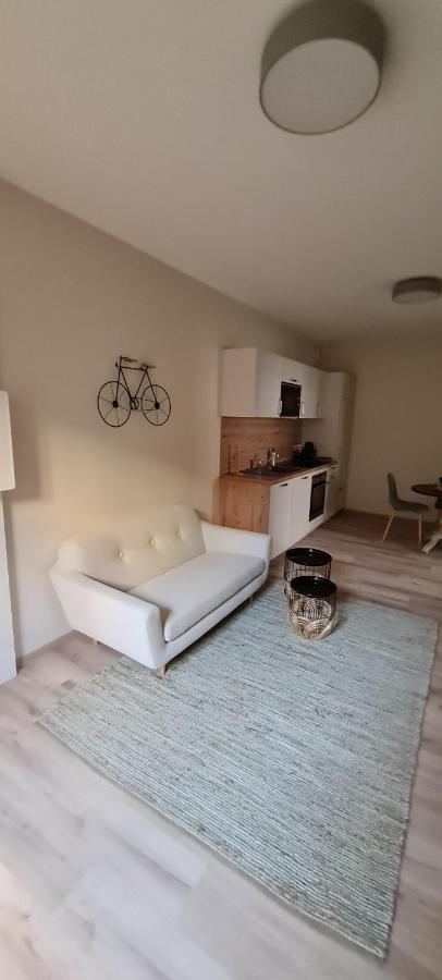 Les Coursives Appartements Mâcon Dış mekan fotoğraf